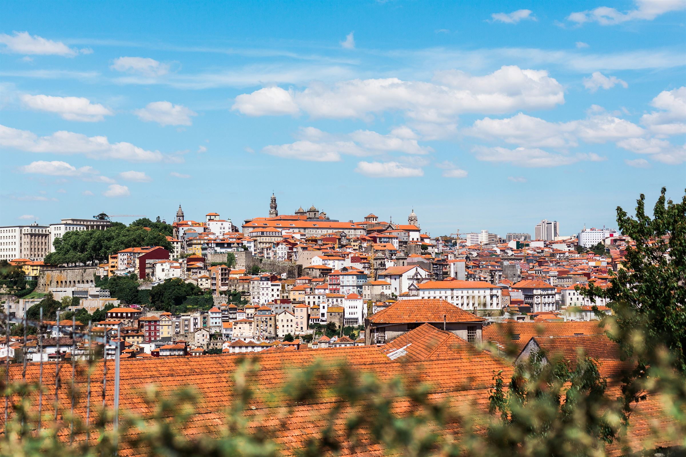Casario do Porto com a Torre dos Clérigos sob um céu azul